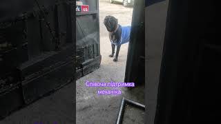 Автосервіс сімейного типу, все по домашньому і так душевно)))) #car #engine #automobile