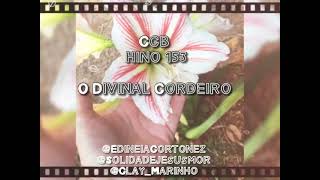 Hino 153 - O divinal Cordeiro (Edineia Cortonez, Solidade e Clay Marinho)