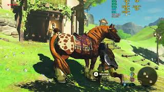 RX 580 8gb mingzhou -  Zelda Breath Of The Wild - i5 3570 - ph861m lx2 r2.0 - CEMU