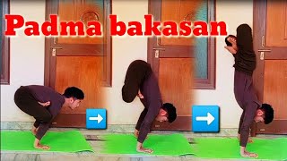 पद्म बकासन कैसे करें|| How to do Padma bakasan for competition #Padmabakasan