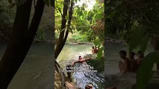 Горячие источники Краби / Krabi hot springs #travel #krabi #краби #thailand #таиланд