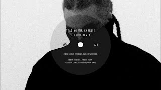 Steve Angello vs. Axwell & Halsey - Teasing Mr. Charlie X Graveyard (D!NAMO Remix)