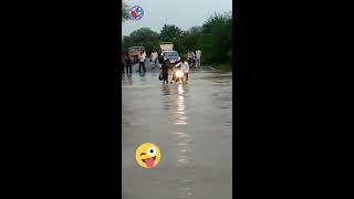 Accidents!!! Never cross Flood Water River bridge