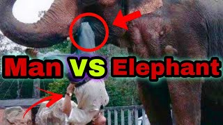 Man VS Elephant |