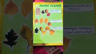 doing science holiday homework || pigment in leaves #trending #viral #sortsvideo #sorts