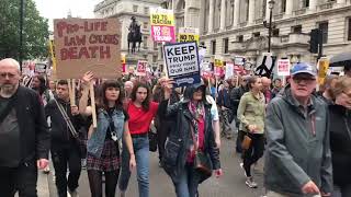 Trump Protesters flooded London streets