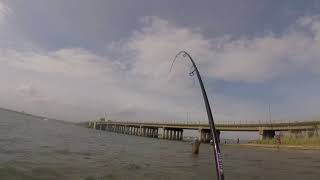 bluefish fishing May 20 2018