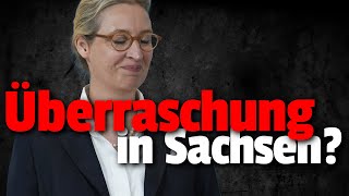 💥AfD Sensation in Sachsen zum GREIFEN nah!