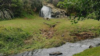 Pokeno waterfalls Auckland NZ | Leatham Stream Waterfalls Pokeno NZ | Pokeno North Island