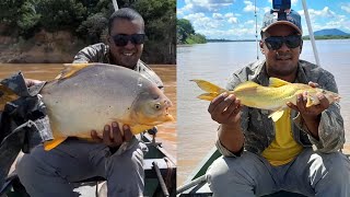 Caranha e Mandi Açu as mais belas emoções da pescaria.