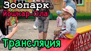 Зоопарк Йошкар-Ола (Трансляция)