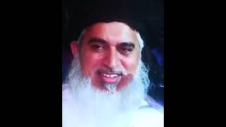 Mulana Khadam Hussain Rizvi/