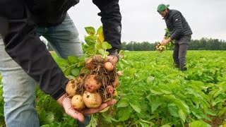 Food — Can B.C. grow enough and keep it affordable?