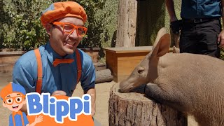 Blippi’s Fun Zoo Day | Blippi's Colorful Fun! | Blippi Adventures