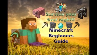 Minecraft- Surviving Your First Night *Beginners Guide*