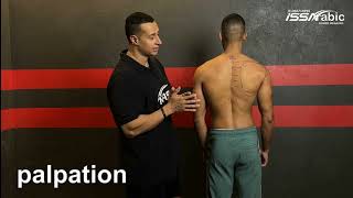 كورس الاصابات الرياضية shoulder palpation