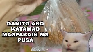 GANITO AKO MAG PAKAIN NG PUSA SA UMAGA