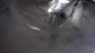 GoPro in washing machine