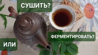 ЧАЙ ИЗ ЛИСТЬЕВ МАЛИНЫ/ СУШИТЬ ИЛИ ФЕРМЕНТИРОВАТЬ?/ СБОР ЦВЕТОВ КЛУБНИКИ И БОЯРЫШНИКА