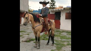 RAFA NEGRETE ---- CORRIDO DEL CABALLO BLANCO