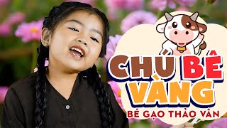 CHÚ BÊ VÀNG - BÉ GẠO THẢO VÂN || Nhạc Thiếu Nhi Mầm Chồi Lá Mới Nhất 2023 Cho Bé