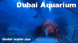 DUBAI AQUARIUM & UNDERWATER ZOO #dubai #aquarium  #zoo