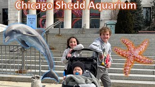 Epic 1st Birthday at Shedd Aquarium in Chicago