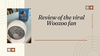 The viral Woozoo fan review