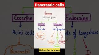 pancreas #neet #endocrinology #class12biology #shorts