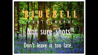 The Challenge of Bluebell Photography #landscapephotography #nikond850 #bluebells #woodland