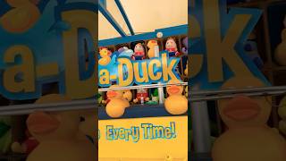 Cute little baby ducks🦆 #trending #shorts #new #viralvideo #youtubeshorts  #ducky #world