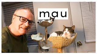 Real Wood & Hand Woven Baskets MAU Modern Cat Tree Assembly & REVIEW