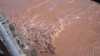 Tidal bore @ Moncton NB, Canada. April 16, 2021.