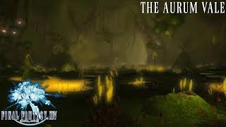 Final Fantasy 14 (Longplay/Lore) - 0130: The Aurum Vale (A Realm Reborn)