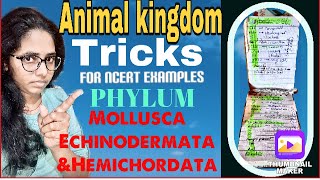 neet 2021 || Animal kingdom || Tricks for animal kingdom || animal kingdom trailer|| #neet #neet2021