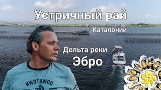 Испания. Устричная ферма. Гастрономический тур. Дельта реки Эбро.