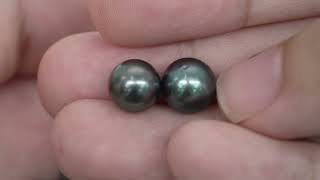 18pcs "Mid High luster" Peacock 8-9mm - SR AAA/TOP Quality Tahitian Pearl Auction LOT56 WP103