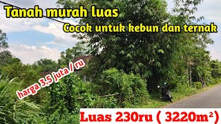 Tanah murah luas cocok untuk kebun dan ternak ada 2 muka tanah aspal dekat masjid dan jalan provinsi