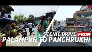 Scenic Drive from Palampur to Panchrukhi in Himachal Pradesh