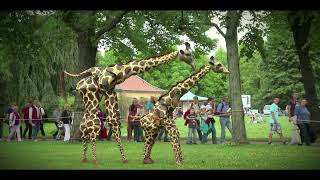 Giraffen - act