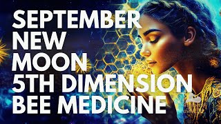 SEPTEMBER NEW MOON Meditation for Grounding and Intention | Bee Medicine and 5th Dimension