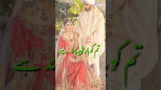 #صرف تم#ytshorts #newshortvideo #bautiful #newshortvideo #viral #fatehjang