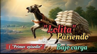 "El Egoísmo Humano: La Historia de Maltrato a Lolita"