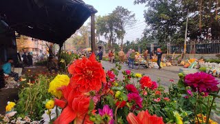 Most Popular Flower aplants Market In Kolkata | Galiff Street Plants Market