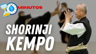 Shorinji Kempo, de que se trata | Monje y guerrero | un Arte Marcial en 5 minutos