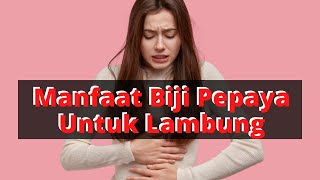 Manfaat Biji Pepaya Untuk Penyakit Maag Asam Lambung