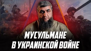 Мусульмане в Украинской войне