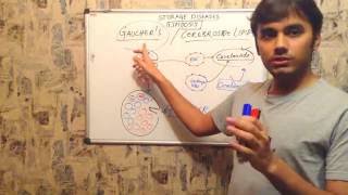 STORAGE DISEASES {PROTEINOSES AND GAUCHER'S DISEASE} part 2