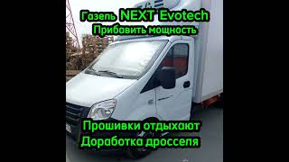 Газель Next Evotech может ехать без затупов - прибавляем мощность без прошивки ,чип тюнинг отдыхает