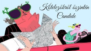 Candide - Kötelezők őszintén #1